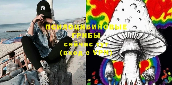 прущие грибы Алексин