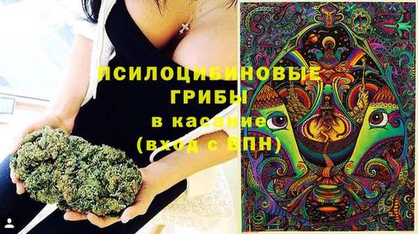 прущие грибы Алексин