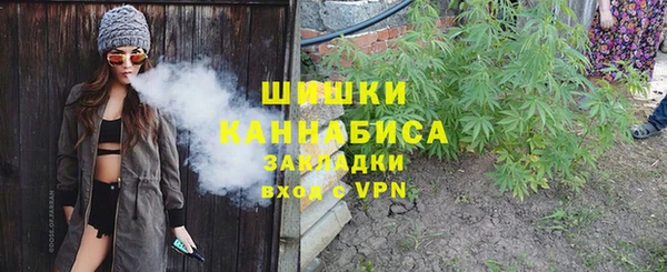 индика Абдулино