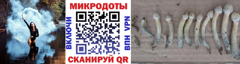 Галлюциногенные грибы GOLDEN TEACHER Серафимович